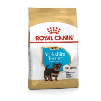 R.C. PERRO  YORKSHIRE JUNIOR 1.5K