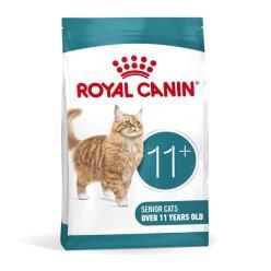 ROYAL GATO FHN AGEING+12 2K