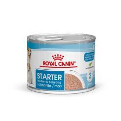 R.C. PERRO STARTER MOUSSE 195GRS