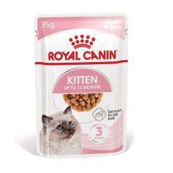 ROYAL GATO KITTEN EN SALSA 85G