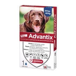 COPEMA PIPETA ADVANTIX PERROS MAS DE 25 KG