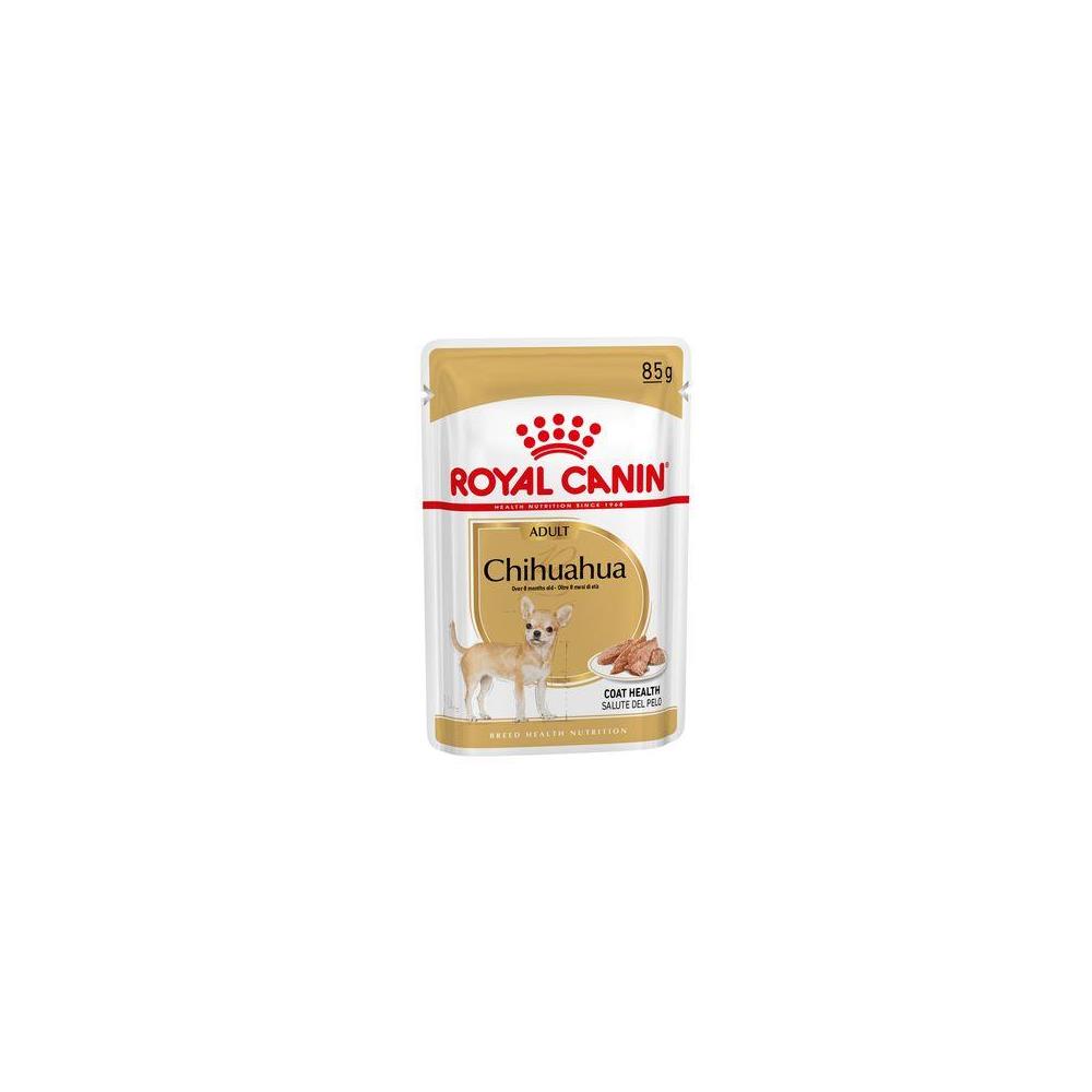 R.C. PERRO SOBRE  CHIHUAHUA 85GR