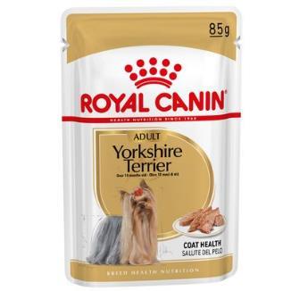 R.C. PERRO SOBRE YORKSHIRE TERRIER 85GR