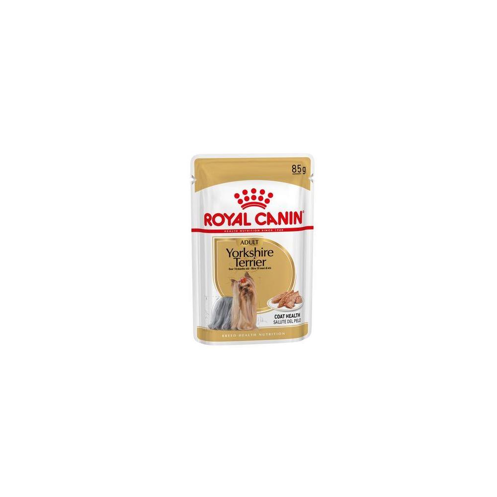 R.C. PERRO SOBRE YORKSHIRE TERRIER 85GR