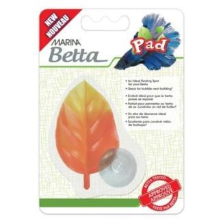CAMA PARA BETA
