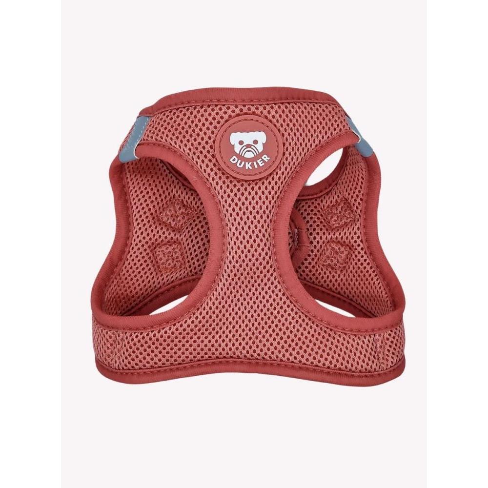 DUKIER ARNES BODY PERRO TERRACOTA  XXS