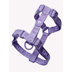 DUKIER ARNES CLASICO PARA PERRO VIOLET  M