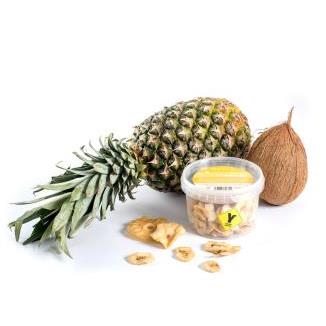 ORYCS MINORYCS SNACKS TROPICAL 150GR