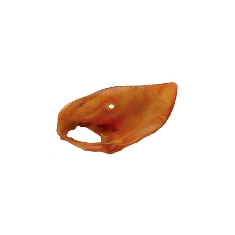 ARQUIVET ORELA DE CERDO XXL