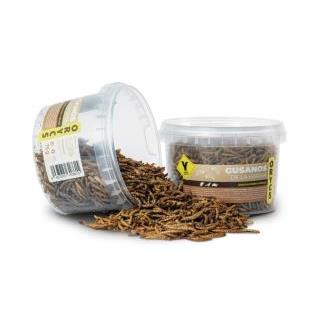 ORYCS SNACKS GUSANOS DE LA HARINS 75GR