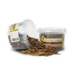 ORYCS SNACKS GUSANOS DE LA HARINS 75GR
