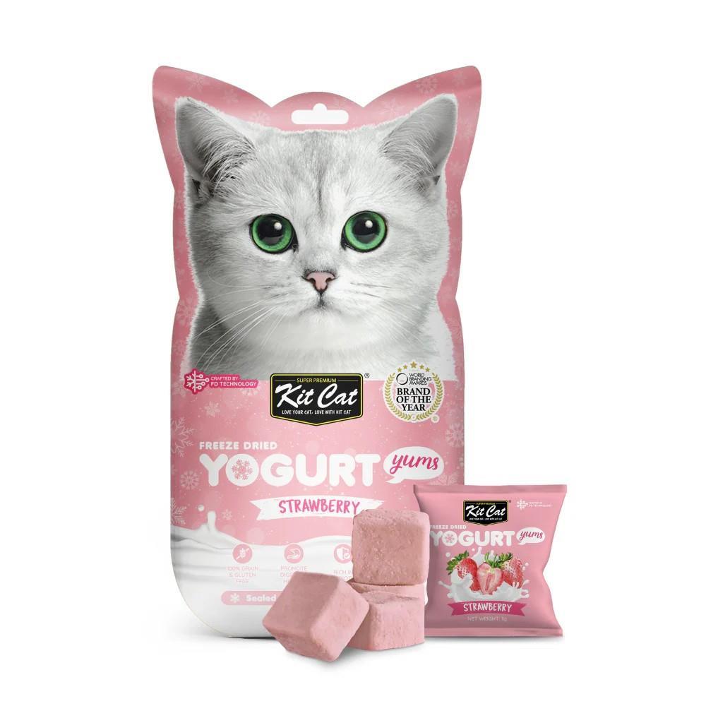 KIT CAT YOGURT LIOFILIZADO FRESA