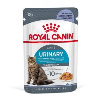 R.C. URINARY CARE GRAVI 85GR
