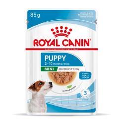R.C. PERRO SOBRE MINI PUPPY  85GR