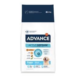 AD  PUPPY MAXI 12KG