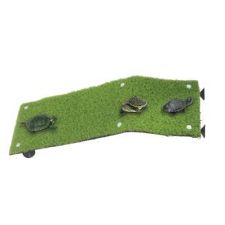 ICA RAMPA PARA TORTUGAS L