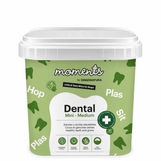 MOMENTS DIG DENTAL MINI-MED