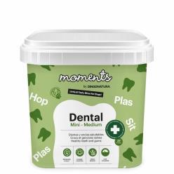 MOMENTS DIG DENTAL MINI-MED