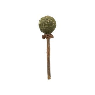 JUGUETE MATATABI LOLLI