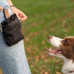 TRIXIE BE NORDIC BOLSA DE SNACKS NEGRO