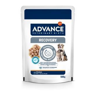 ADVANCE DOG&CAT  RECOVERY 100GR