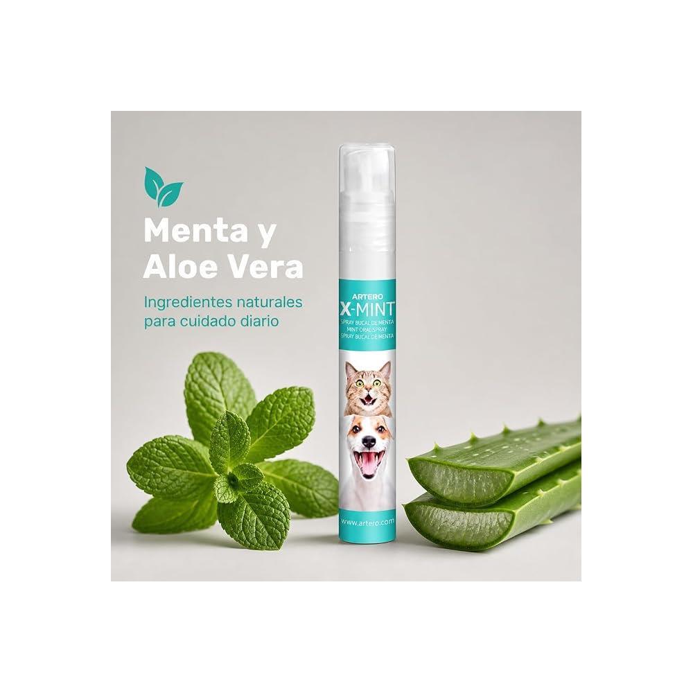 ARTERO SPRAY BUCAL DE MENTA 14ML
